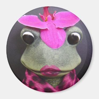 カエルフランスの磁石 マグネット