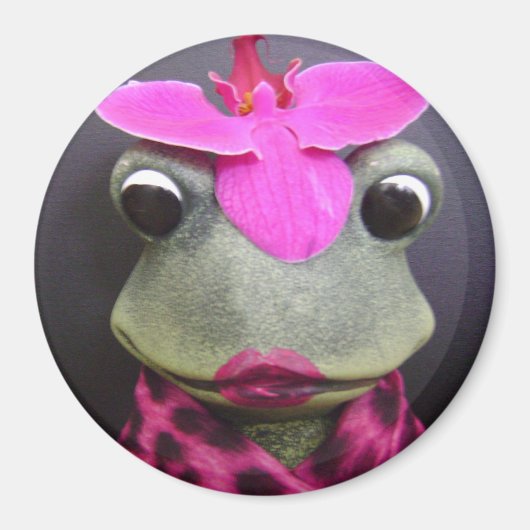 カエルフランスの磁石 マグネット (正面)