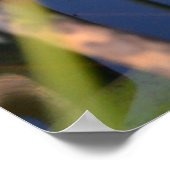 カエルポートレート ポスター (角)