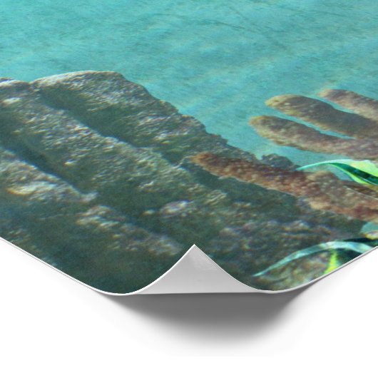 カエル与えの喉を詰まらせないこと ポスター (角)