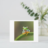 カエル付きスパイキー葉 ポストカード (スタンド正面)