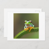 カエル付きスパイキー葉 ポストカード (正面/裏面)