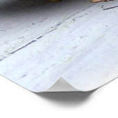 カエル動物両生動物写真 ポスター (角)