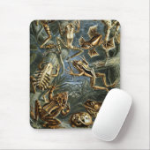 カエル及びヒキガエル マウスパッド (マウス)