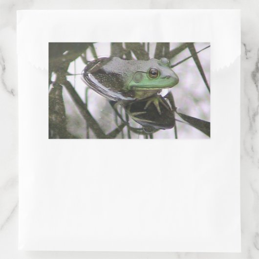 カエル反射シール 長方形シール (バッグ)