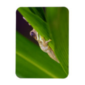 カエル小マグネット マグネット (縦)