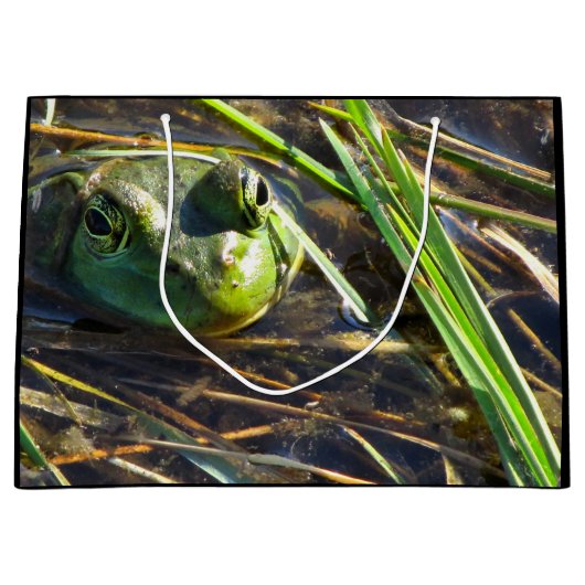 カエル抱き枕 ラージペーパーバッグ (正面)