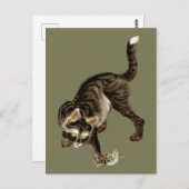 カエル日本のを捕まえる猫 ポストカード (正面/裏面)