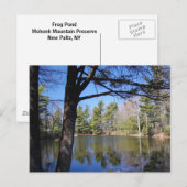 カエル池はがき ポストカード (正面/裏面)