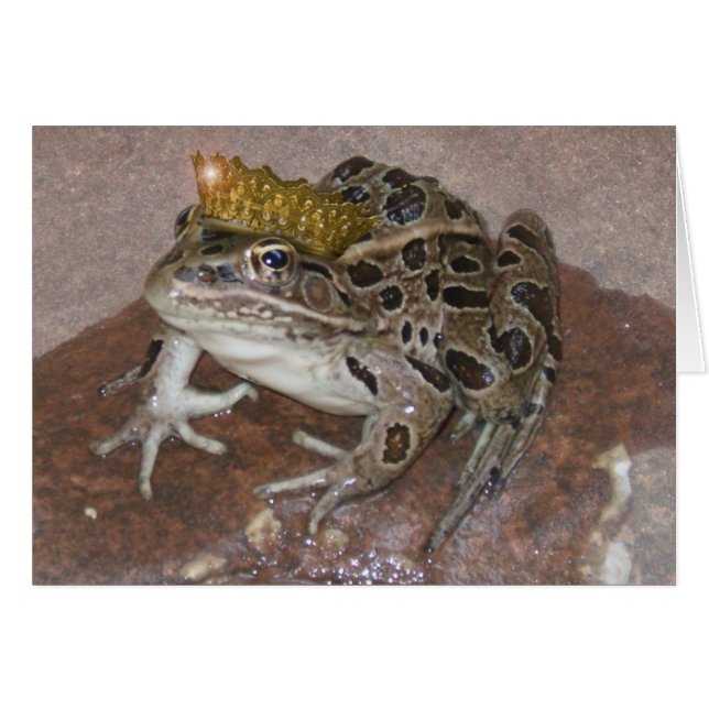 カエル王子 (正面横)