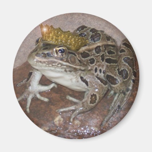 カエル王子 マグネット (正面)