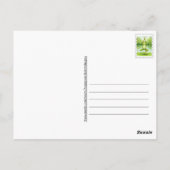 カエル用ヨガポストカード ポストカード (裏面)