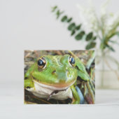 カエル画像はがき ポストカード (スタンド正面)