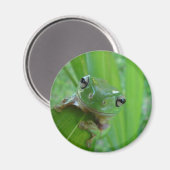 カエル磁石 マグネット (正面/裏面)