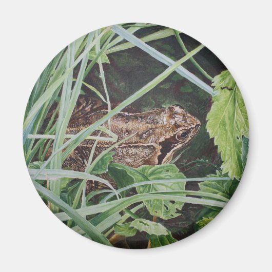 カエル磁石 マグネット (正面)