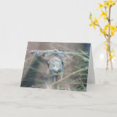 カエル祈/ カード (黄色い花)