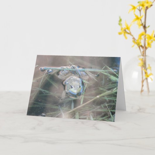 カエル祈/ カード (黄色い花)