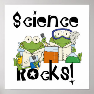 カエル科学の石 ポスター