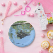 カエル紙プレート ペーパープレート (パーティー)