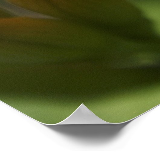 カエル花 ポスター (角)