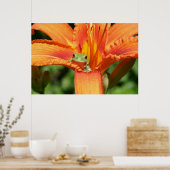 カエル花 ポスター (キッチン)