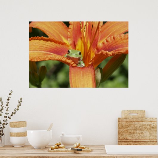 カエル花 ポスター (キッチン)