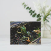 カエル葉書 ポストカード (スタンド正面)