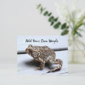 カエル葉書 ポストカード (スタンド正面)