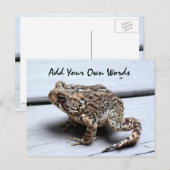 カエル葉書 ポストカード (正面/裏面)