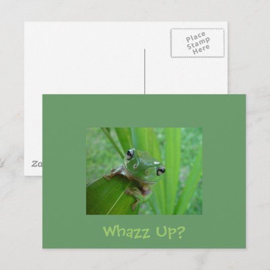 カエル葉書 ポストカード (正面/裏面)