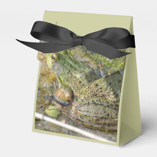 カエル誕生日パーティーキッズボーイアニマル フェイバーボックス (正面サイド)