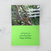 カエル誕生日挨拶 カード (内部)