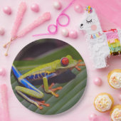 カエル赤目写真 ペーパープレート (パーティー)