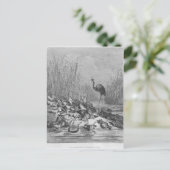 カエル頼は王様だ ポストカード (スタンド正面)