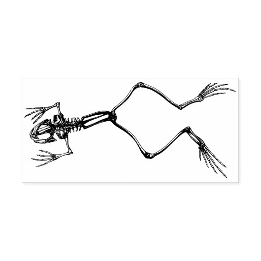 カエル骨格 ラバースタンプ (インプリント)