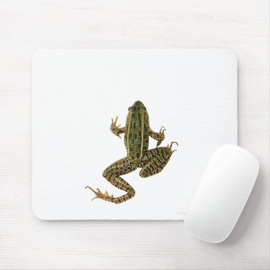 カエル2 マウスパッド (マウス)