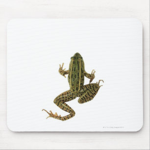 カエル2 マウスパッド