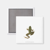 カエル2 マグネット (正面/裏面)