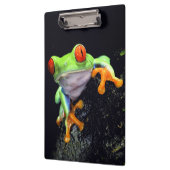 カエル3のクリップボード クリップボード (左)