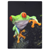 カエル3のクリップボード クリップボード (裏面)