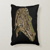 カエル アクセントクッション (正面(垂直))