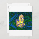 カエル・イン・ザ・グラス ポストカード (正面/裏面)