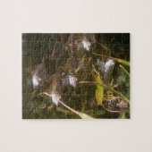 カエル、カエル、そしてもっとカエル ジグソーパズル (横)