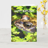 カエル カード (黄色い花)