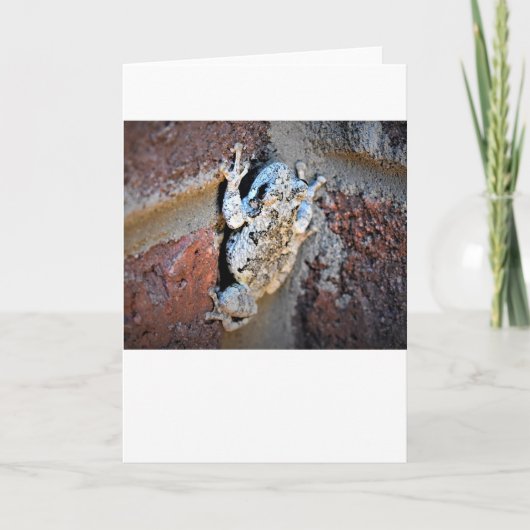 カエル、カード カード (正面)