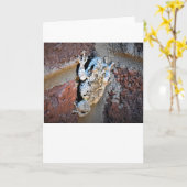 カエル、カード カード (黄色い花)