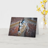 カエル、カード カード (黄色い花)