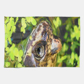 カエル キッチンタオル (横)