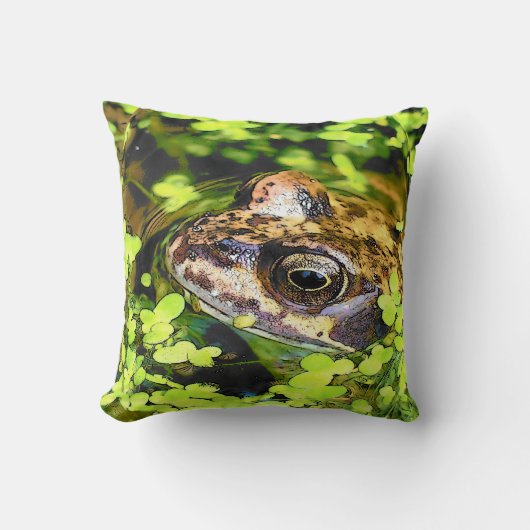 カエル クッション (正面)