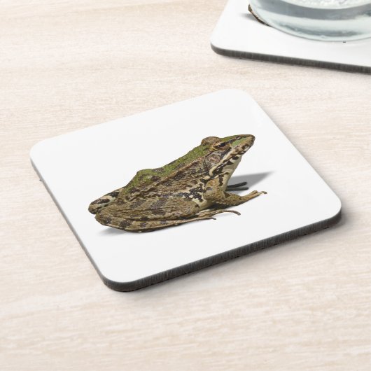 カエル コースター (左側)